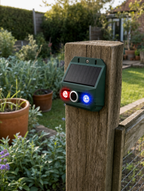 Garden Animal Repeller for Foxes and Cats - lifestyle